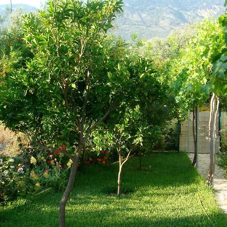 טרפזאקי Galini Apartments מראה חיצוני תמונה