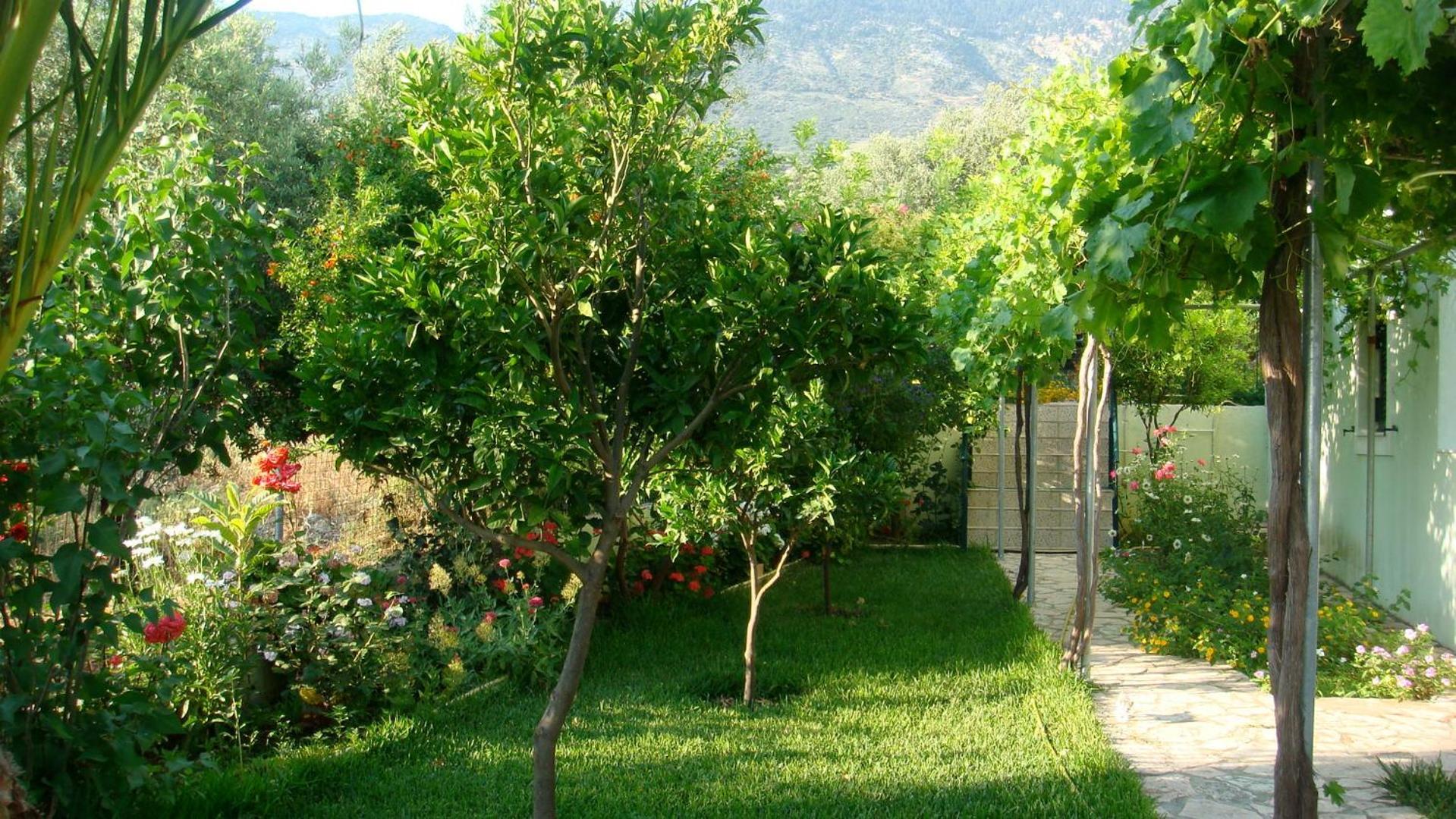 טרפזאקי Galini Apartments מראה חיצוני תמונה
