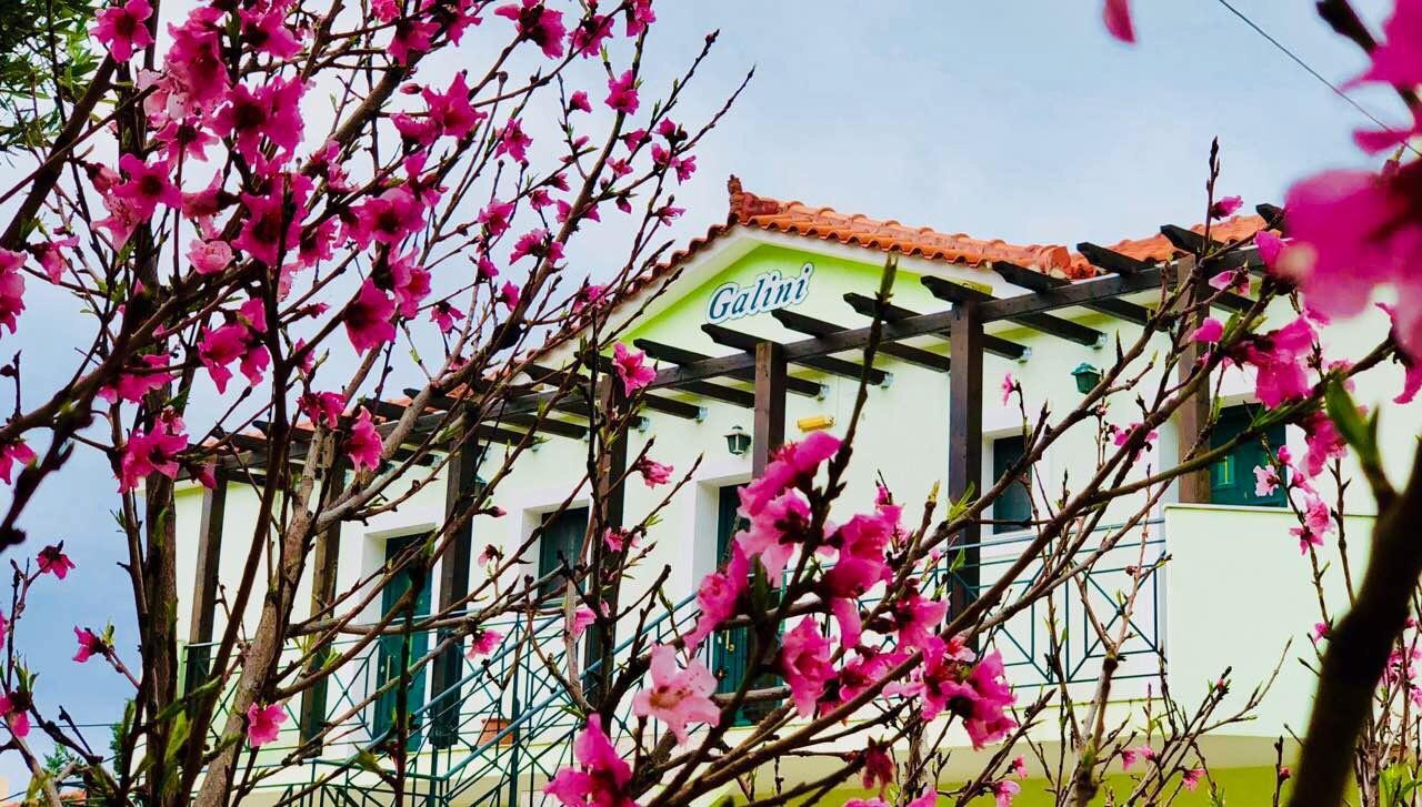 טרפזאקי Galini Apartments מראה חיצוני תמונה