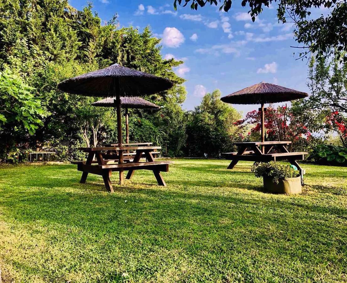 טרפזאקי Galini Apartments מראה חיצוני תמונה